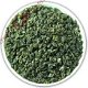 500g premium SuZhou Bi Luo Chun BiLuoChun Loose Leaf Green Tea Wholesal,e €27.98 - 1 - Thumbnail