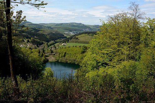 Wandelen in de D-Vulkaaneifel, 2 vrije Vakantiewoningen - 4