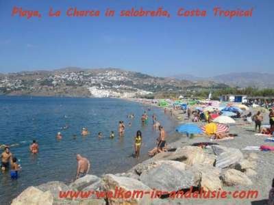 paasvakantie naar Spanje, andalusie, huisje met zwembad huren - 2