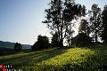 Gezellige vakantiewoning op Woonboerderij in Slowakije - 8 - Thumbnail