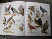 Vogels Compleet overzicht alle vogelsoorten van de wereld - 2 - Thumbnail