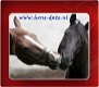 Gek van paarden en op zoek naar nieuwe vriendschappen? - 1 - Thumbnail