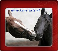 Gek van paarden en op zoek naar nieuwe vriendschappen?