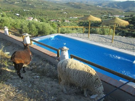 vakantiewoning in Andalusie zuid spanje te huur, vrij gelegen met zwembad - 4