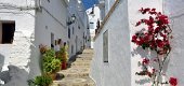 vakantiehuizen in Andalusie zuid spanje - 7 - Thumbnail