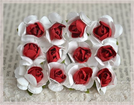 Papieren roosjes rood-wit. Per 10 - 1