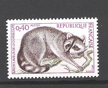 Frankrijk 1973 Raton laveur de Guadeloupe postfris - 1
