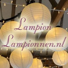 witte lampion, led verlichte lampionnen voor bruiloft of tuin versiering?