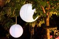witte lampion, led verlichte lampionnen voor bruiloft of tuin versiering? - 8 - Thumbnail