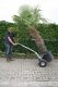 NIEUWE Tranportkar(ren) voor bomen en planten en zware lasten - 2 - Thumbnail