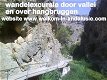 vakantiewoningen in Andalusie, met prive zwembaden - 2 - Thumbnail