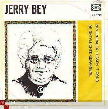 VINYLSINGLE * JERRY BEY * ZILVERDRADEN TUSSEN 'T GOUD * HOLLAND 7