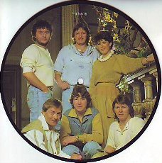 VINYLSINGLE * BZN  *  IF I SAY THE WORDS * PICTUREDISC * GREAT BRITAIN 7"