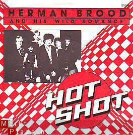 VINYLSINGLE * HERMAN BROOD * HOT SHOT * HOLLAND 7