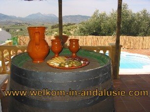vakantiewoningen in Andalusie bekijken - 1