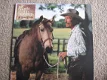 Marty Robbins All Around Cowboy - 1 - Thumbnail