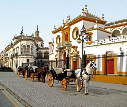 Andalusie malaga, sevilla, Granada, Cordoba bezoeken - 2