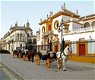 Andalusie malaga, sevilla, Granada, Cordoba bezoeken - 2 - Thumbnail