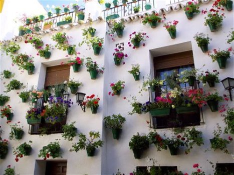 Andalusie malaga, sevilla, Granada, Cordoba bezoeken - 8