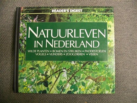 Natuurleven in Nederland Wilde planten-paddenstoelen-vlinder - 1