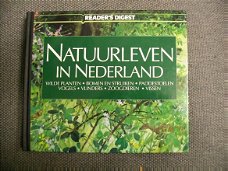 Natuurleven in Nederland Wilde planten-paddenstoelen-vlinder