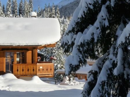 Luxe Chalets aan de piste in mooi sneeuwzeker dorp - 2