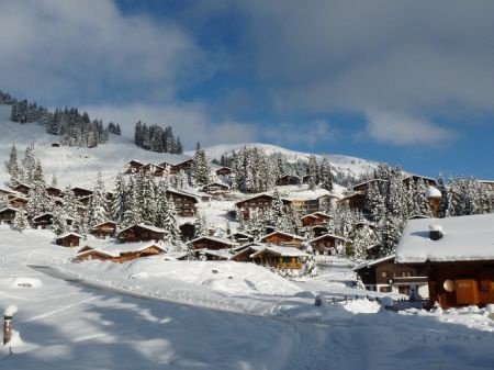 Luxe Chalets aan de piste in mooi sneeuwzeker dorp - 3