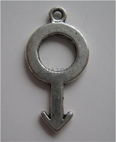 bedeltje/charm mannen: man symbool - 12x26 mm