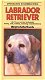 Labrador Retriever - 1 - Thumbnail