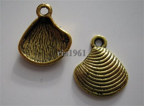 bedeltje/charm strand:schelpje 1 goud - 15x13 mm - 1