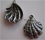 bedeltje/charm strand : schelp groot - 22x17 mm - 1 - Thumbnail