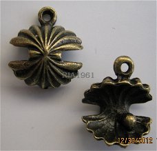 bedeltje/charm zee:oester 2 brons - 15x13 mm