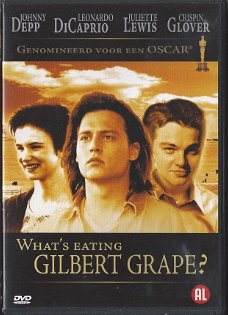 DVD What's eating Gilbert Grape