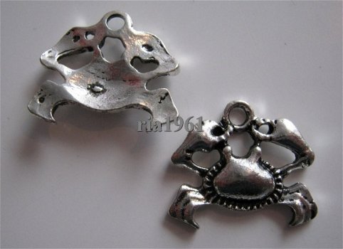 bedeltje/charm zee:krab - 20x16 mm - 1