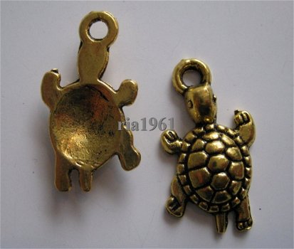 bedeltje/charm zee:schildpad 1 goud - 23 mm - 1