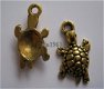 bedeltje/charm zee:schildpad 1 goud - 23 mm - 1 - Thumbnail