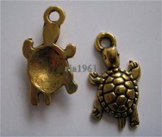 bedeltje/charm zee:schildpad 1 goud - 23 mm