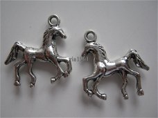 bedeltje/charm dieren: paard 2 - 23x23 mm (zwaar)