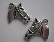 bedeltje/charm dieren:paardenhoofd - 21 x18 mm