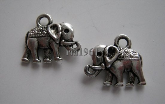 bedeltje/charm dieren: olifant 3 - 12x14 mm - 1