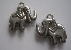 bedeltje/charm :olifant (acryl)- 20x20 mm