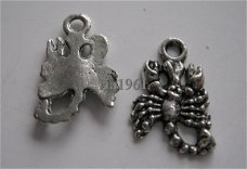 bedeltje/charm dieren:schorpioen - 16x10 mm