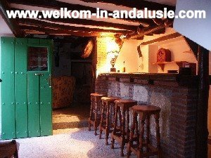 vakantiewoning met een prive zwembad in andalusie - 1