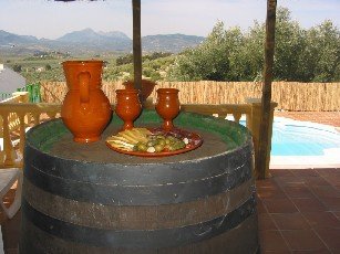 vakantiewoning met een prive zwembad in andalusie - 6