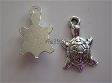 bedeltje/charm dieren: schildpadje - 17x10 mm