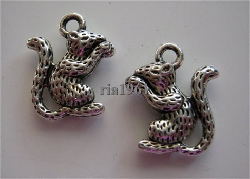 bedeltje/charm dieren: eekhoorntje - 16x13 mm - 1