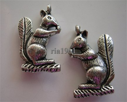 bedeltje/charm dieren:eekhoorn (zwaar)-28x18 mm - 1
