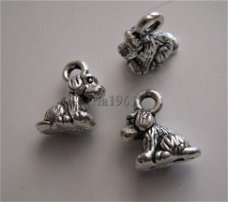 bedeltje/charm dieren:mini-hondje -10 mm