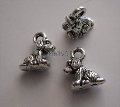 bedeltje/charm dieren:mini-hondjes -10 mm:10 voor 0,75 - 1