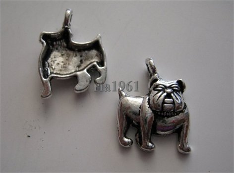 bedeltje/charm dieren:buldog - 19x17 mm - 1